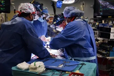 How Do Pig Kidney Transplants Function in Humans? Insights on Rejection Markers