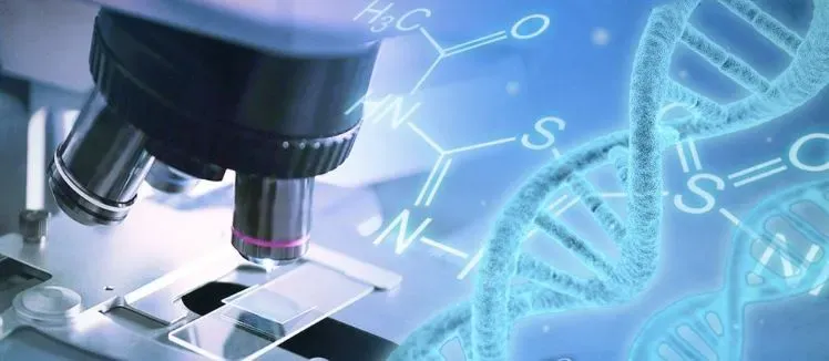Can Gene Therapy Offer a Permanent Solution for HIV?
