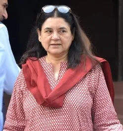 क्या आवारा कुत्तों को हटाने का सुप्रीम आदेश अमानवीय है?