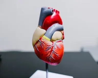 Could This Cholesterol Pill Help Combat the Risk of Heart Attack and Stroke?