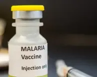 1st malaria vaccine shows promise against rising cases: Report 