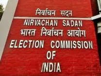 What Percentage of Bihar Voters' Forms Have Been Collected Under Roll Revision?