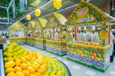 How is APEDA Promoting Indian Mangoes in the UAE?