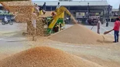 Arrival of kharif crops, robust outlook for rabi augur well for food
 inflation outlook