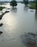 क्या असम, बिहार, उत्तराखंड और अन्य राज्यों में बाढ़ की स्थिति गंभीर है?