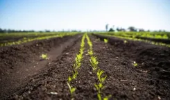 Could Volcanic Rock Revolutionize Sustainable Farming in Australia?