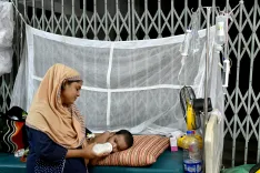 Bangladesh: Are dengue fatalities rising? Death toll in 2025 hits 73