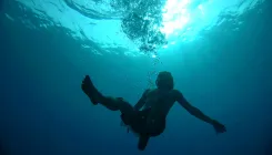 What Happened in Bihar? Three Drown in Saran, Two Children Missing in Patna