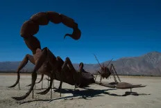 What Deadly Secrets Does the Black Scorpion Sting Hold?
