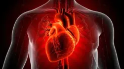 Brighter night-time light exposure may not be good for your heart