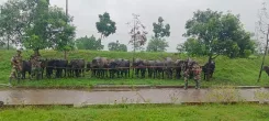 How Did the BSF Drive Away 7 Bangladeshi Infiltrators Along the Indo-Bangla Border?