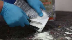 Did Bulgaria Just Seize Cocaine in a Diplomatic Vehicle?