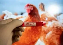 Is Cambodia Facing a Rising Threat with the Seventh Human Case of H5N1 Bird Flu?