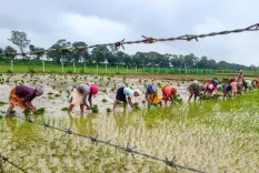 Did the Centre Really Impose Water Charges on Farmers under the MCAD Scheme?