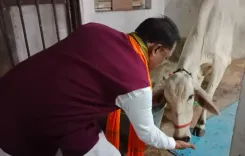 क्या मुख्यमंत्री विष्णु देव साय ने गाय को रोटी-गुड़ खिलाकर गौसेवा का महत्व बताया?