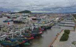 What Should You Know About China's Yellow Alert for Typhoon Wipha?