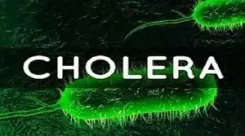 Has the cholera outbreak in Congo reached an acute phase?