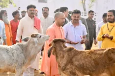 क्या सीएम योगी के विजन और गऊ माता की कृपा से यूपी बनेगा वन ट्रिलियन इकोनॉमी?