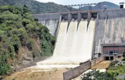 Are Coimbatore's Reservoirs Nearing Full Capacity Amid Heavy Rain?