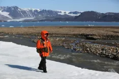 What is the Danish-led initiative IcyAlert predicting for Arctic summers?