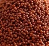 क्या ‘रागी’ दिल को स्वस्थ और पेट को मस्त रखता है? शुगर पेशेंट के लिए वरदान?