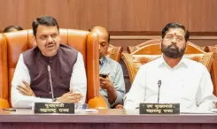 How is Maharashtra Planning to Highlight Tree Plantation in the International Year of Cooperatives?
