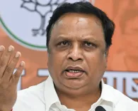 What New Strategies Can Deter Bird Activity Near Airports? Maha Minister