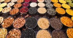 Can Fermenting Legumes and Pulses Enhance Their Antioxidant and Antidiabetic Benefits?