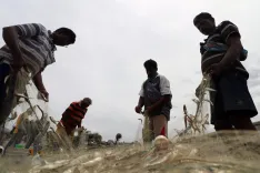 Why Are Fishermen Associations in Kanyakumari Opposing the Hydrocarbon Project?