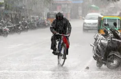 Will Tamil Nadu Experience Rain in Eight Districts?