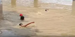 Is the Ganga River Threatening Bihar with Severe Flooding?