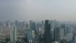 Global study links 1.5 million deaths every year to air pollution from wildfires