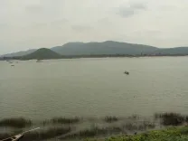 Will the Godavari-Banakacherla Link Project Affect Telangana's Interests?