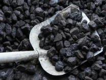 What Happened in the 12th Round of Coal Mine Auctions?