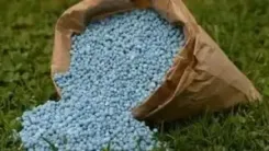 Is the Indian Government Ready to Transform Fertilizer Production with Green Ammonia?