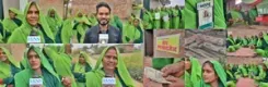 'Green Army' of Varanasi: A team of 20 women take on social evils, thank PM Modi for empowering