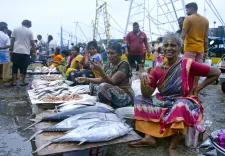 How Will GST Rate Cuts Impact India’s Blue Economy?