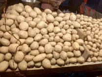 Is Gujarat Leading the Charge in Processed Potato Production?