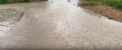 Is Gujarat Experiencing Record Rainfall This Monsoon?