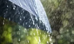 Is Heavy Rainfall in Sikkim Impacting Rescue Efforts?