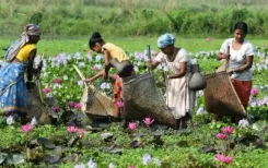 क्या केंद्र ने असम और त्रिपुरा में कमजोर वर्गों के विकास के लिए 4,250 करोड़ रुपए के पैकेज को मंजूरी दी?