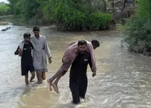 क्या पाकिस्तान में मूसलाधार बारिश से 883 लोगों की मौत हुई?