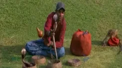 क्या श्रीलंका बनाम बांग्लादेश का ‘नागिन डर्बी’ प्रशंसकों के लिए अद्भुत अनुभव था?