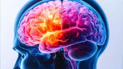 क्या मस्तिष्क टाइप 1 मधुमेह के उपचार का नया रास्ता दिखा सकता है?