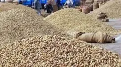 खाद्य तेल की कीमतों में कटौती का लाभ उपभोक्ताओं तक पहुंचे : केंद्र