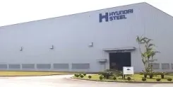 Why Did Hyundai Steel Suspend Operations at Its Plant?