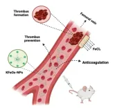 Can IIT-BHU Bioengineers Revolutionize Blood Clotting Prevention?