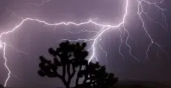 What Does the IMD's Orange Alert Mean for Multiple States?