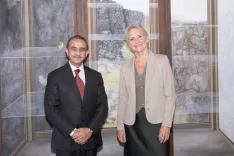 What Progress Has Been Made in India-Iceland Relations?