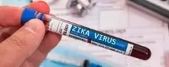 India reported 151 Zika virus disease in 2024, highest in Maharashtra: WHO
